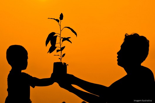 Os adultos e as crianças terão à sua disposição uma horta orgânica projetada para suprir além de uma alimentação saudável: o contato com as plantas e o processo de cuidar, colher e levá-las frescas para a mesa.