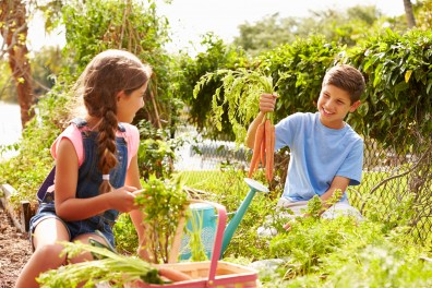 shutterstock_213364084
